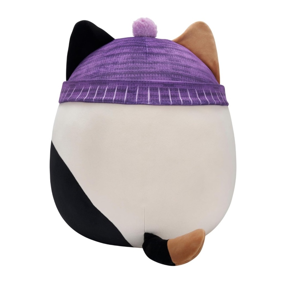 NWT 14” Cam the Cat with Beanie Squishmallow - Picture 2 of 2